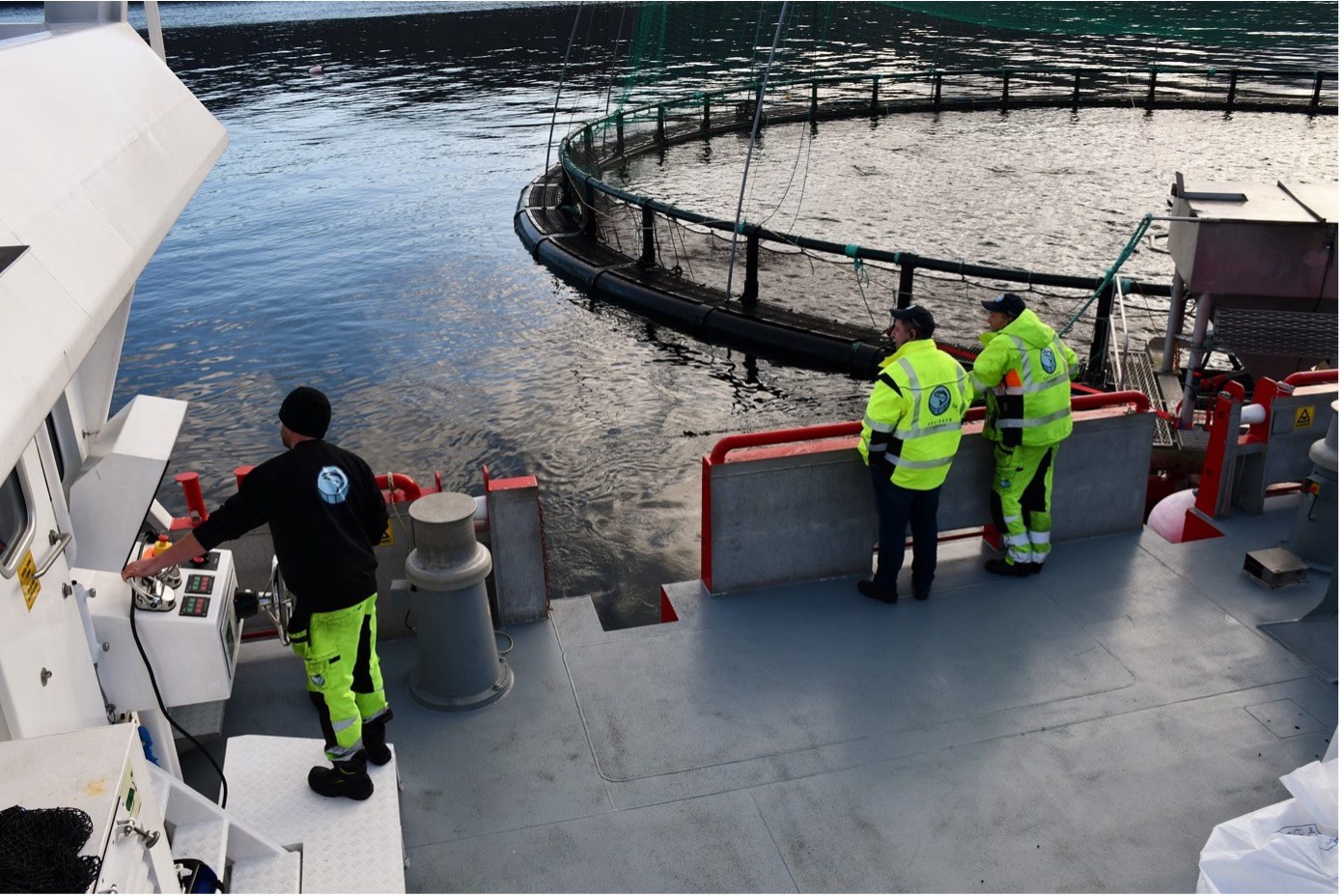 First Post-Smolt Delivery from Hausvik: From Tank to Open Sea